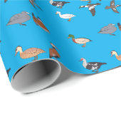 Enten Geschenkpapier (Rolleneckpunkt)