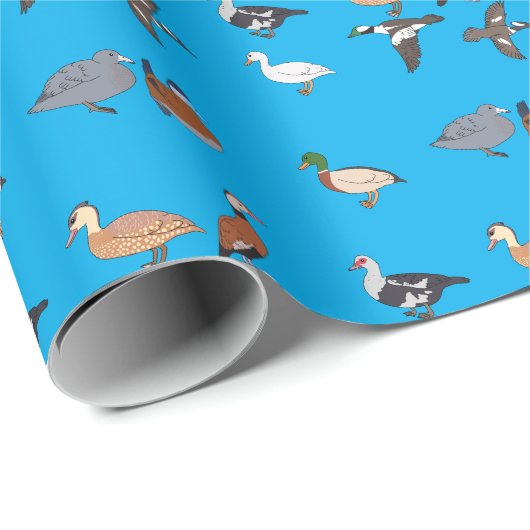 Enten Geschenkpapier (Rolleneckpunkt)
