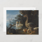 Enten Guinea Schweine und ein Kaninchen in einem b Postkarte (Vorne/Hinten)