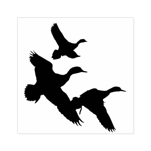 Enten Gummistempel (Prägung)