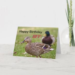 Enten Happy Birthday BESTE FREUNDIN Card Karte