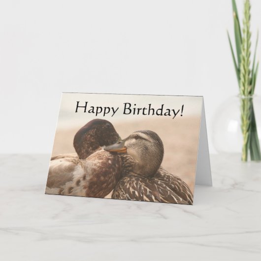 Enten Happy Birthday Card Karte (Vorderseite)