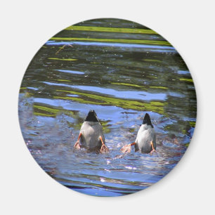 Enten-Hintern Magnet