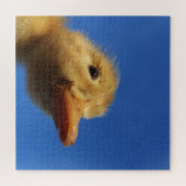Enten, Huhn, Tier, Küken, Vögel, Bauernhof, niedli Puzzle (Horizontal)