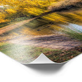 Enten im Herbstteich Fotodruck (Ecke)