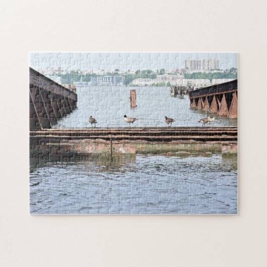 Enten im Hudson River New York City Fotograf Puzzle (Horizontal)