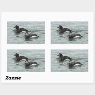 Enten im Ozean Foto-Sticker Rechteckiger Aufkleber