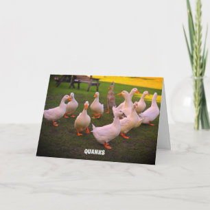 Enten im Park Funny Duck Quanks Dankeskarte
