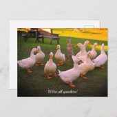 Enten im Park Funny Quackers Feiertagspostkarte (Vorne/Hinten)