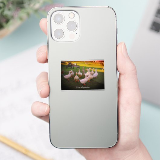 Enten im Park Funny Wir sind alle Quacker Sticker (Telefon)