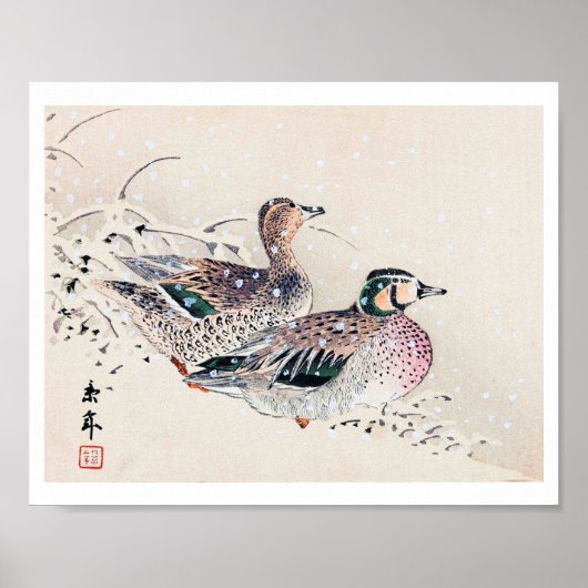 Enten im Schnee, Imao Keinen Poster (Vorne)