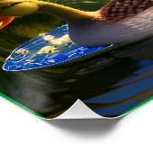 Enten im Teich Poster (Ecke)