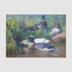 Enten im Teich von Carl Jutz Seidenpapier