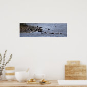 Enten im Wasser Poster (Küche)