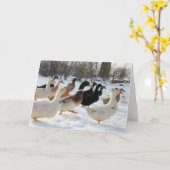 Enten im Winter Snow Grußkarte Karte (Gelbe Blume)