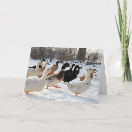 Enten im Winter Snow Grußkarte Karte (Vorderseite)