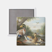 Enten in der Flusslandschaft Magnet (Vorderseite/Rückseite)