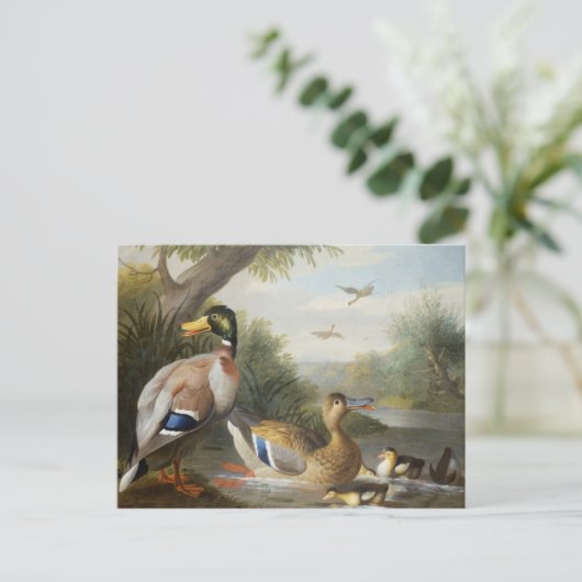 Enten in der Flusslandschaft Postkarte (Stehend Vorderseite)