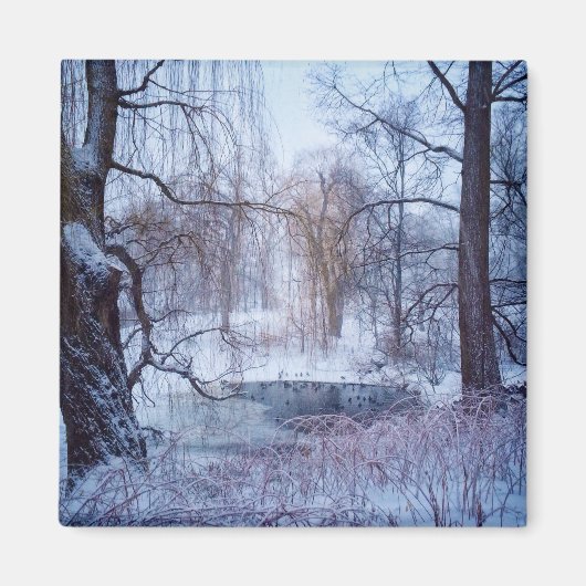 Enten in einem gefrorenen Teich im New Yorker Cent Magnet (Vorne)