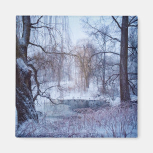 Enten in einem gefrorenen Teich in New York Magnet