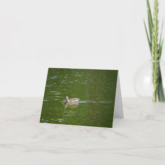 Enten in einem grünen See (2) Dankeskarte