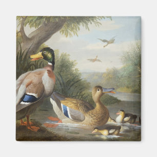 Enten in einer Fluss-Landschaft Magnet