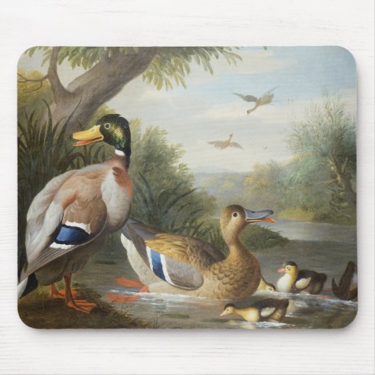 Enten in einer Fluss-Landschaft Mousepad (Vorne)