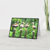 Enten in einer geflochtenen Grußkarte Dankeskarte (Vorderseite)