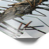 Enten in einer Reihe Fotodruck (Ecke)