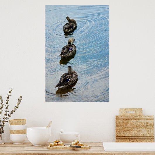 Enten in einer Reihe Poster (Küche)