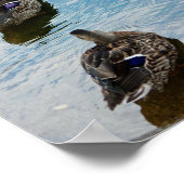 Enten in einer Reihe Poster (Ecke)
