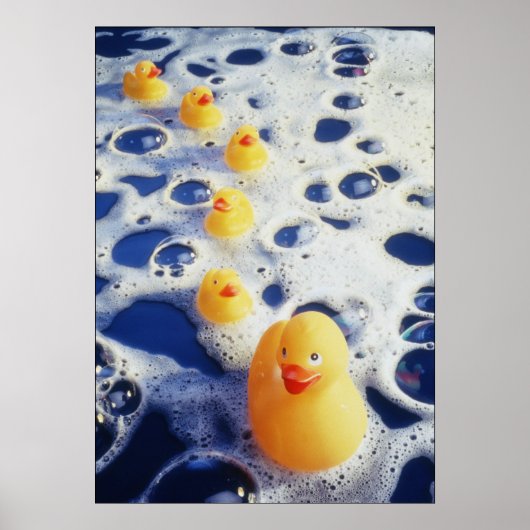 Enten in einer Reihe Poster (Vorne)