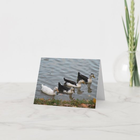Enten in einer Row-Note-Karte Karte (Vorderseite)