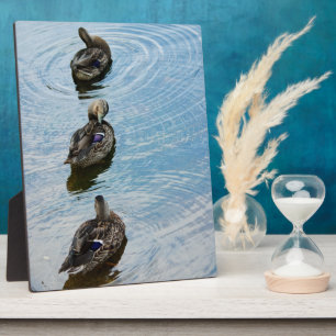 Enten in einer Row Plaque Fotoplatte