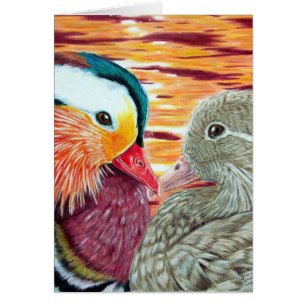 Enten in Liebe