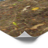 "Enten in Liebe" Poster (Ecke)