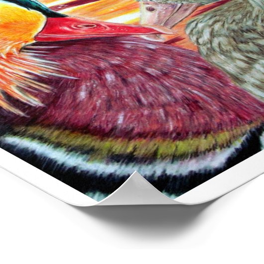 Enten in Liebe Poster (Ecke)