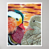 Enten in Liebe Poster (Vorne)