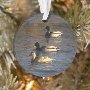 Enten in Wasser Ornament