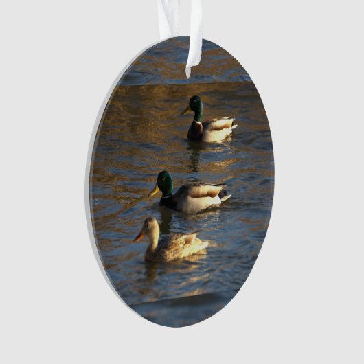 Enten in Wasser Ornament (Vorderseite)