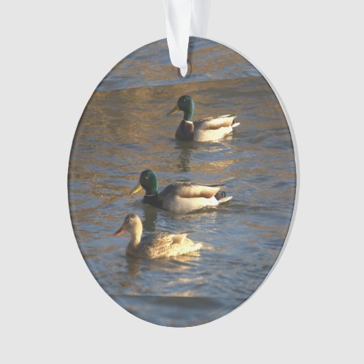Enten in Wasser Ornament (Vorderseite)