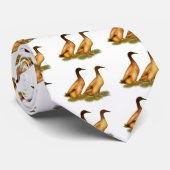 Enten:  Kakifarbiger Campbell Krawatte (Gerollt)