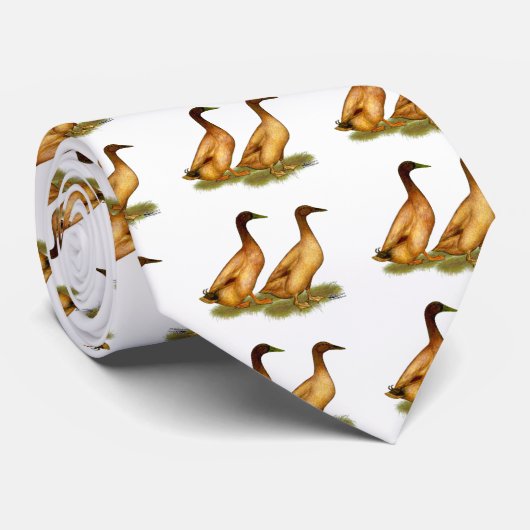 Enten:  Kakifarbiger Campbell Krawatte (Gerollt)