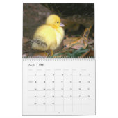 Enten-Kalender Kalender (Mär 2026)