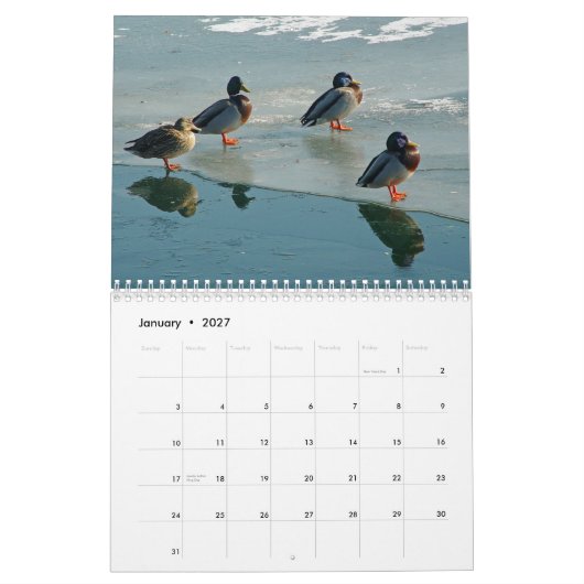 Enten-Kalender Kalender (Jan 2027)