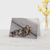 Enten Karte (Gelbe Blume)