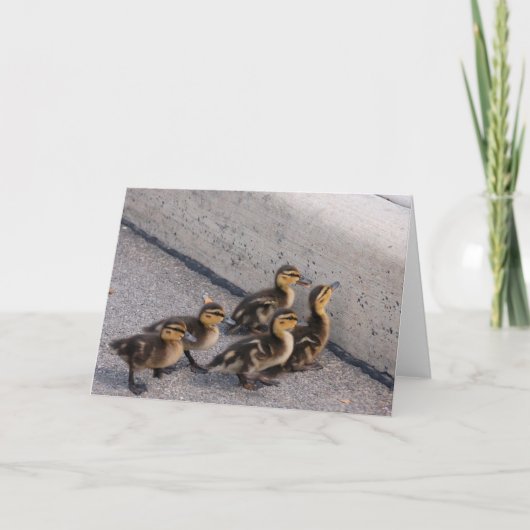 Enten Karte (Vorderseite)