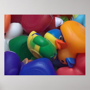 Enten Ken Gage Fotografie Poster