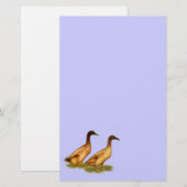 Enten: Khaki Campbell Briefpapier (Vorne/Hinten)