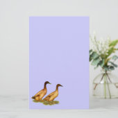 Enten: Khaki Campbell Briefpapier (Stehend Vorderseite)